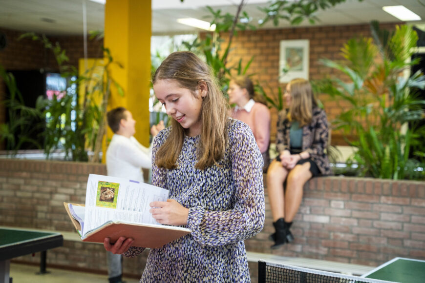 leerling, leert, schoolboek, middelbare school