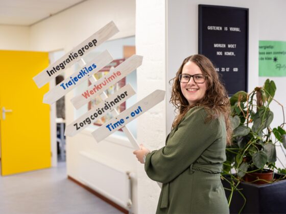 Docent, leerlingbegeleider, wegwijzer