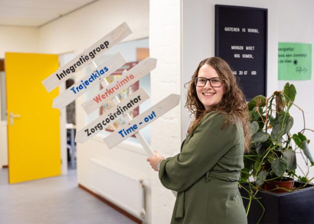 Docent, leerlingbegeleider, wegwijzer